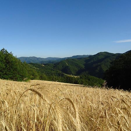 Agriturismo I Monti Di Salecchio Palazzuolo Sul Senio Exteriör bild