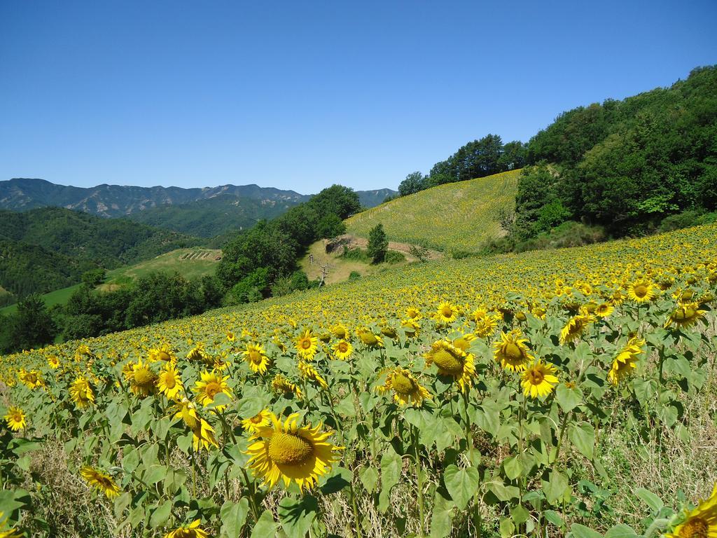 Agriturismo I Monti Di Salecchio Palazzuolo Sul Senio Exteriör bild