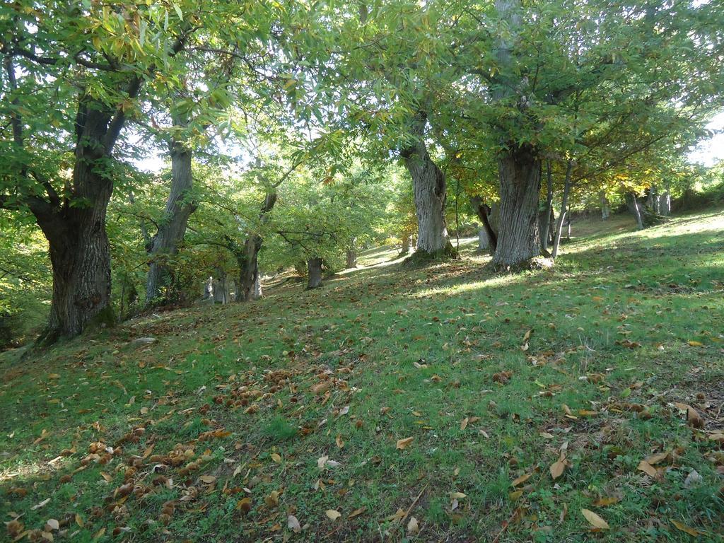 Agriturismo I Monti Di Salecchio Palazzuolo Sul Senio Exteriör bild