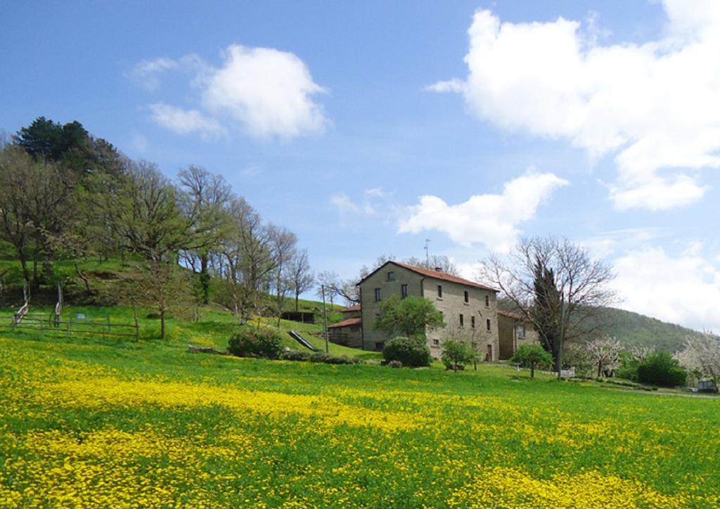 Agriturismo I Monti Di Salecchio Palazzuolo Sul Senio Exteriör bild